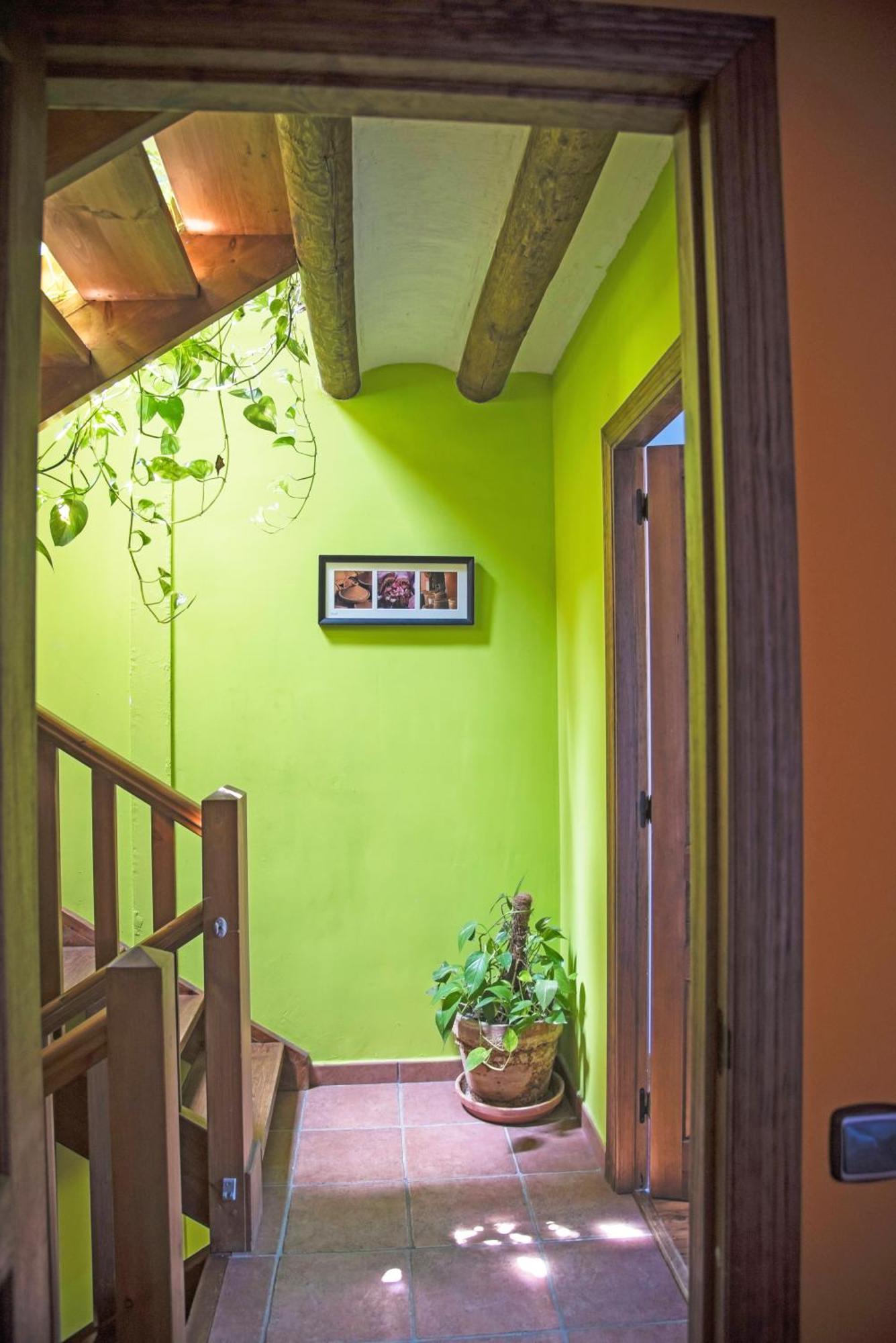 Hostal Casa Pirinea Ordesa Belsierre Exterior foto
