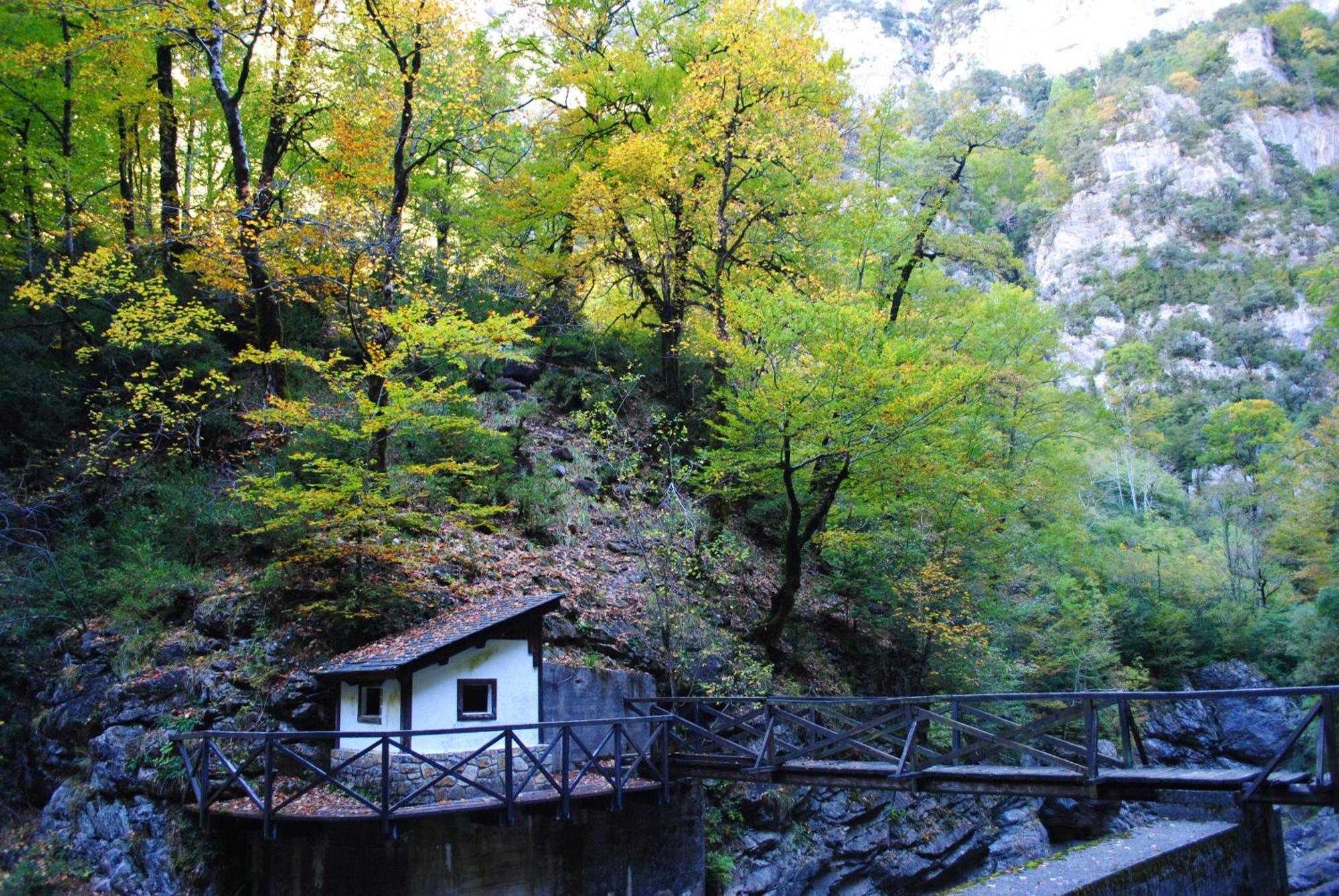 Hostal Casa Pirinea Ordesa Belsierre Exterior foto